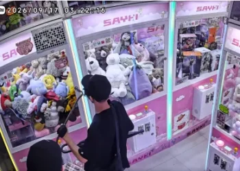 影／4分鐘搬光2娃娃機！雙賊持鐵撬偷數十隻公仔　店家氣炸懸賞10萬港幣抓人
