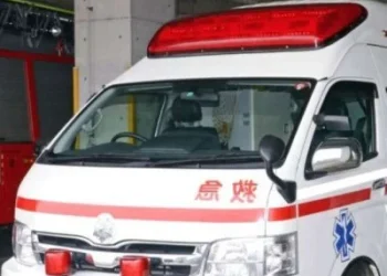 日本農場離奇命案！22歲男打疫苗「遭300公斤豬重壓」　窒息送醫身亡