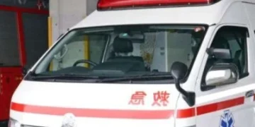 日本農場離奇命案！22歲男打疫苗「遭300公斤豬重壓」　窒息送醫身亡