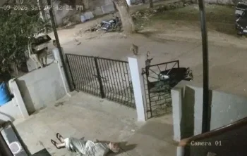 影／印度猴子撞死人！91歲老婦門遭「突襲猛撞」　頭部受傷送醫不治