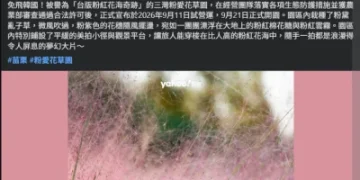 苗栗「粉紅花海」爆違法栽植!闢謠未獲核准 農業部發函下令移除