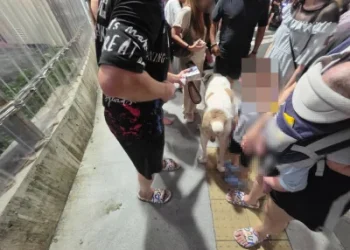 快訊／連假第三天！高雄瑞豐夜市傳衝突　因「狗沒繫牽繩」爭執