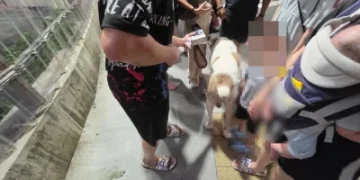 快訊/連假第三天!高雄瑞豐夜市傳衝突 因「狗沒繫牽繩」爭執