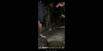 雨傘節遭抓後疑被虐待！影片曝光引眾怒　網友備份畫面籲主管機關查處
