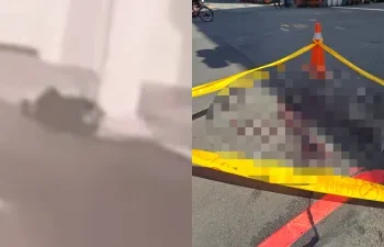 快訊／高雄凶殺案3人到案！1人在逃「持續追緝」