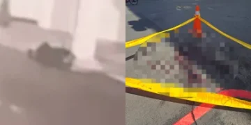 快訊／高雄凶殺案3人到案！1人在逃「持續追緝」