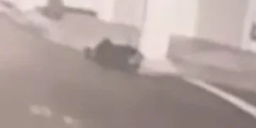 獨/42歲男遭爆頭砍殺亡!警追4嫌「另找2至3女」 1人回現場指認