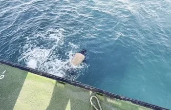 澎湖海傳憾事！漁船船長落海昏迷　海巡救援送醫不治
