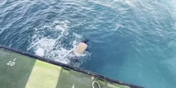 澎湖海傳憾事!漁船船長落海昏迷 海巡救援送醫不治