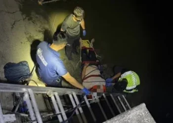 深夜抓螃蟹出意外！嘉義男失足摔落大排　警消架梯救援送醫