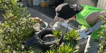 彰化市再現今年第二例登革熱群聚 和首例住處相隔110公尺