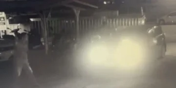 殺人後載屍跑台東！通緝犯開車到警局自首　警疑「不尋常」約談6人