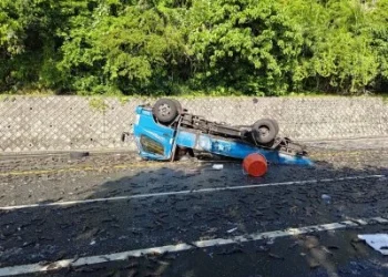 花蓮車禍蝦子掉滿地！　鳳林分局員警挽袖清理協助排除道路障礙