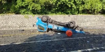 花蓮車禍蝦子掉滿地! 鳳林分局員警挽袖清理協助排除道路障礙