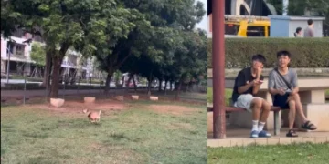 低空盤旋騷擾毛孩!台中廍興公園驚見空拍機「貼地騷擾」 警方勸導後兩男竟挑釁折返