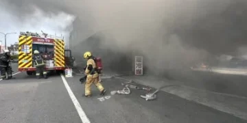 燒枯樹枝火沒滅就離開！高雄女釀火燒住宅、修車廠　判刑4月