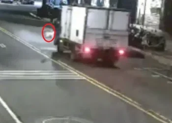 新店貓咪過馬路釀禍！　害小貨車撞3車2人受傷