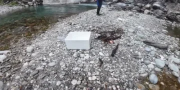公德心在哪？民眾赴花蓮溪邊烤肉目睹滿地垃圾 氣炸PO網引熱議：沒水準垃圾人！