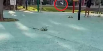 公園當練習場！　桃園阿伯拿高爾夫球桿揮桿打裝水保特瓶