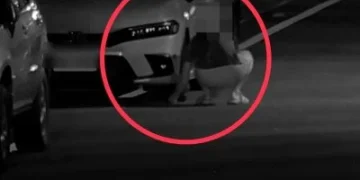 太惡劣!花蓮轎車輪胎下遭放「水泥鋼釘」釘尖朝上 警逮嫌犯送辦