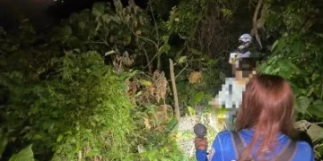 國慶連假柴山傳迷途！女獨闖北壽山　搜救人員打燈呼喊急尋人