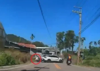 撞擊畫面曝光！台中新社自小客車撞橋墩再撞機車　騎士多處擦挫傷送醫