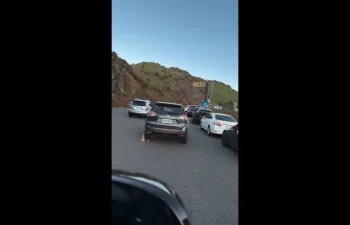 武嶺違停亂象！賓士擋200車、還有人停路中央3小時　警開33張罰單