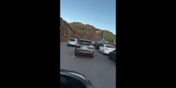 武嶺違停亂象！賓士擋200車、還有人停路中央3小時　警開33張罰單