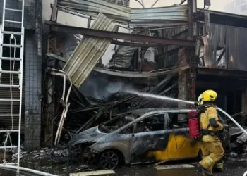 高雄民宅火警延燒3建物！男屋主衝回火場救狗　四肢燒燙傷送醫