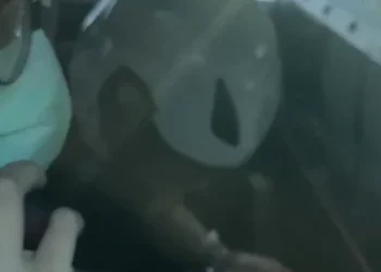 涉嫌殺害母親！　台中潭子周姓婦人命案林姓兒子遭聲押禁見 