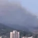 新竹湖口阿兵哥抽菸亂丟菸頭引發火燒山？　網友酸：「「沒有煙幕罐菸頭也可以」