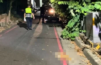 快訊／高醫心臟名醫朱志生車禍身亡！騎車遇貓突竄閃避不及　人貓雙亡
