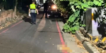 快訊／高醫心臟名醫朱志生車禍身亡！騎車遇貓突竄閃避不及　人貓雙亡