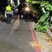 快訊／高醫心臟名醫朱志生車禍身亡！騎車遇貓突竄閃避不及　人貓雙亡