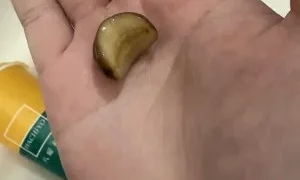 八曜和茶飲品驚見活蛞蝓!民眾以為是梅子嚇壞急診 東海門市停業調查