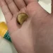 八曜和茶飲品驚見活蛞蝓!民眾以為是梅子嚇壞急診 東海門市停業調查